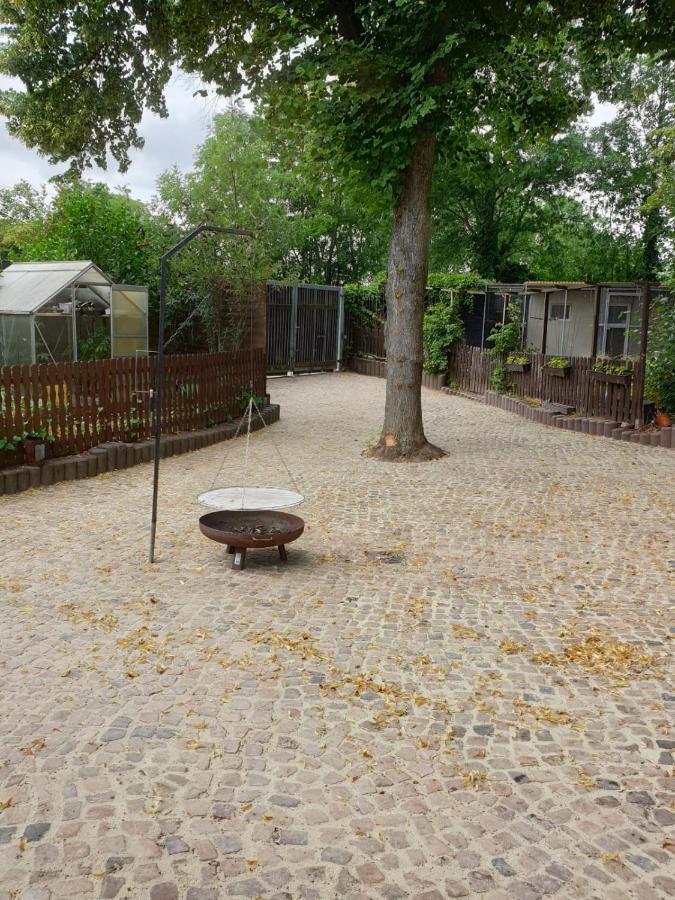 Lindenhof, Zentrumsnah Mit Terrasse Und Grillmöglichkeit *